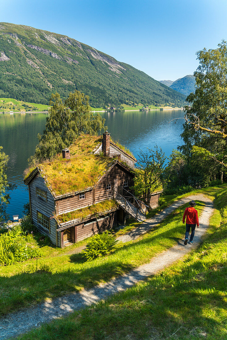 Touristischer Mann auf Fußweg im alten Astruptunet-Bauernhofkomplex, Jolster, Sunnfjord, Grafschaft Sogn og Fjordane, Norwegen, Skandinavien, Europa