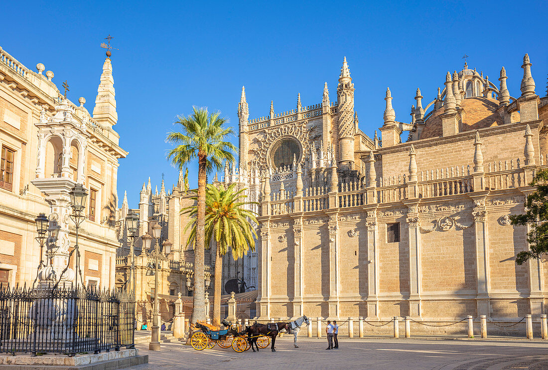 Kutschfahrten außerhalb der Kathedrale von Sevilla und des General Archive of the Indies-Gebäudes, UNESCO-Weltkulturerbe, Sevilla, Andalusien, Spanien, Europa