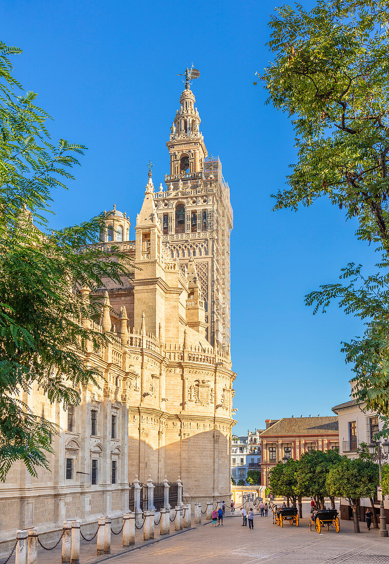 Kathedrale der Heiligen Maria vom See in Sevilla und Glockenturm La Giralda, UNESCO-Weltkulturerbe, Sevilla, Andalusien, Spanien, Europa