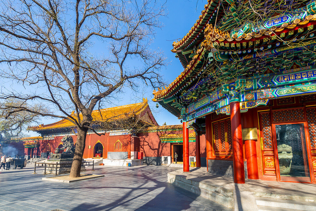 Ansicht des verzierten tibetischen buddhistischen Lama-Tempels (Yonghe-Tempel), Dongcheng, Peking, Volksrepublik China, Asien