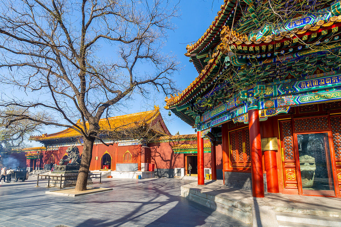 View of Ornate Tibetan Buddhist Lama Temple (Yonghe Temple), Dongcheng, Beijing, People's Republic of China, Asia