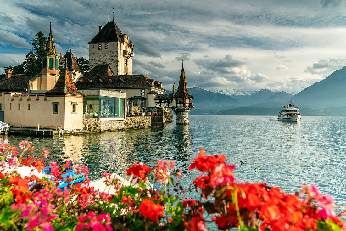 Flowers framing Oberhofen Castle and Lake Thun, Canton of Bern, Switzerland, Europe