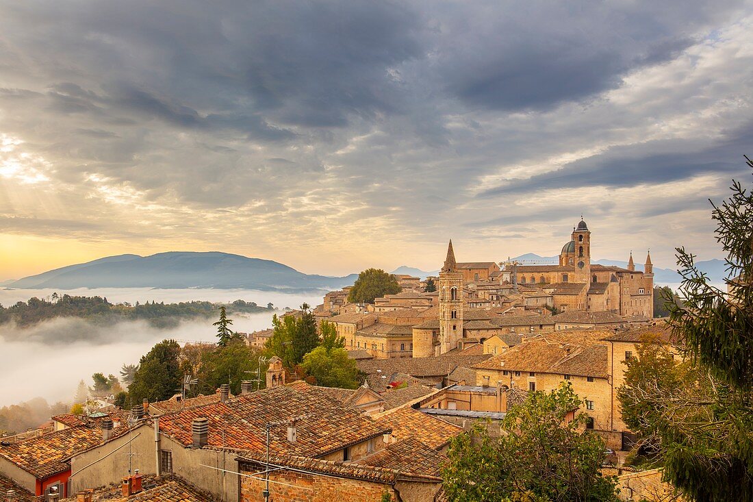Urbino, Marche, Italy, Europe