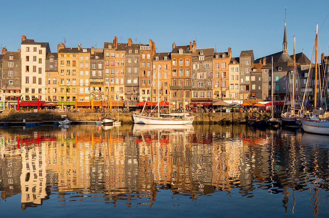 Honfleur old port, Calvados, Normandy, France, Europe