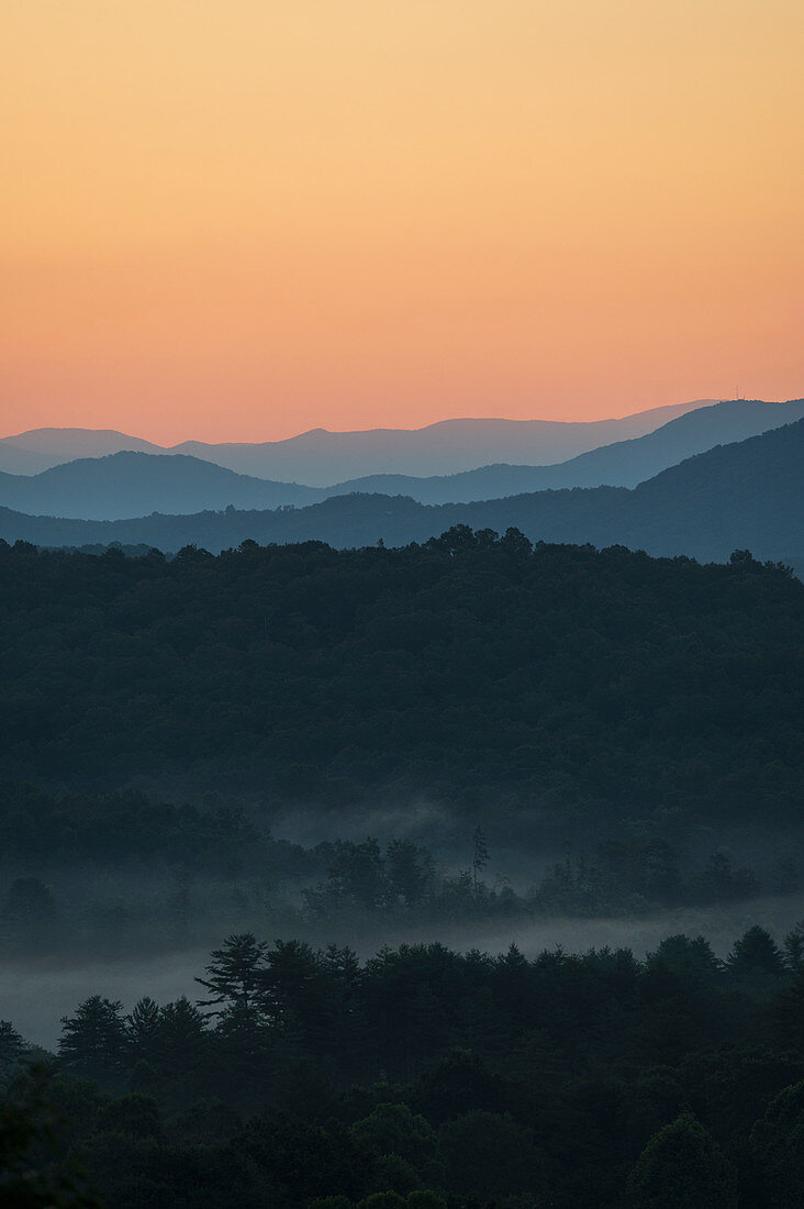 Blue Ridge Mountains und Wald bedeckt mit Nebel bei Sonnenaufgang, Georgia, USA