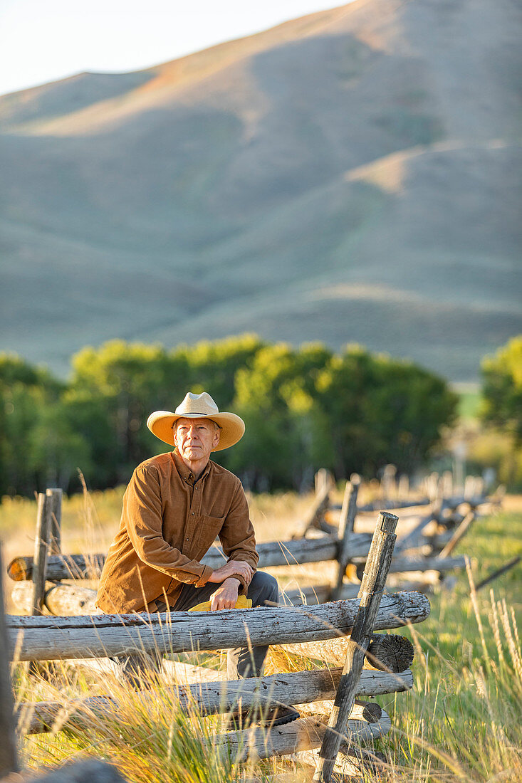 Rancher lehtn sich gegen Zaun auf Feld, Bellevue, Idaho, USA