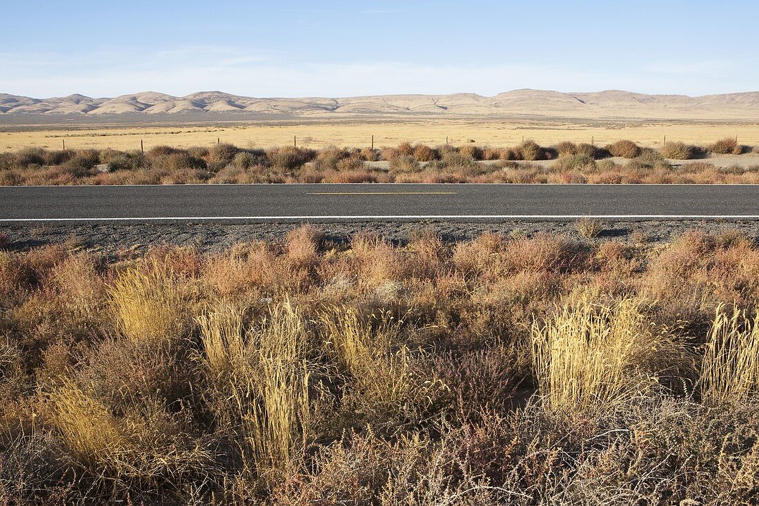 Highway through flat open space, desert with scrub plants