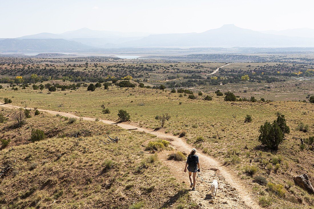 Teenager-Mädchen und ihr Retriever-Hund, die auf einer Spur durch eine geschützte Schluchtlandschaft wandern