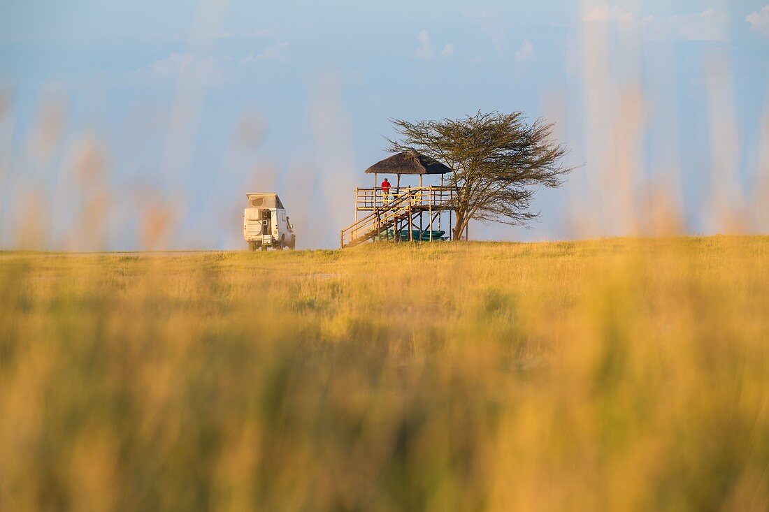 Wildlife viewpoint in African Savannah, Botswana.