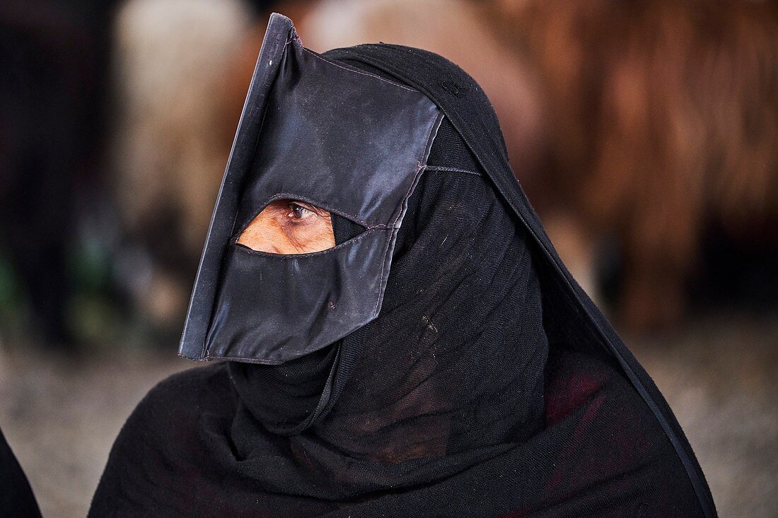 Sultanate of Oman, Al Sharqiya Region, Sinaw, cattle market day, Bedouin Women and men
