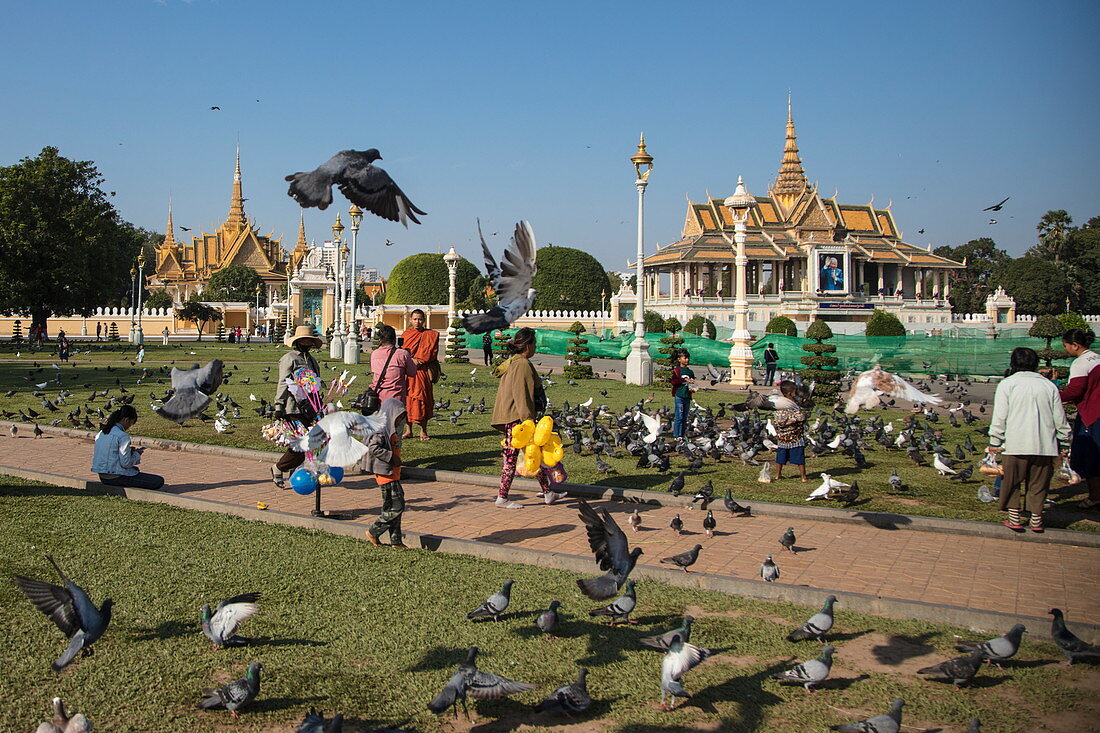 Pigeons and people in parkland outside the Royal Palace complex, Phnom Penh, Cambodia, Asia