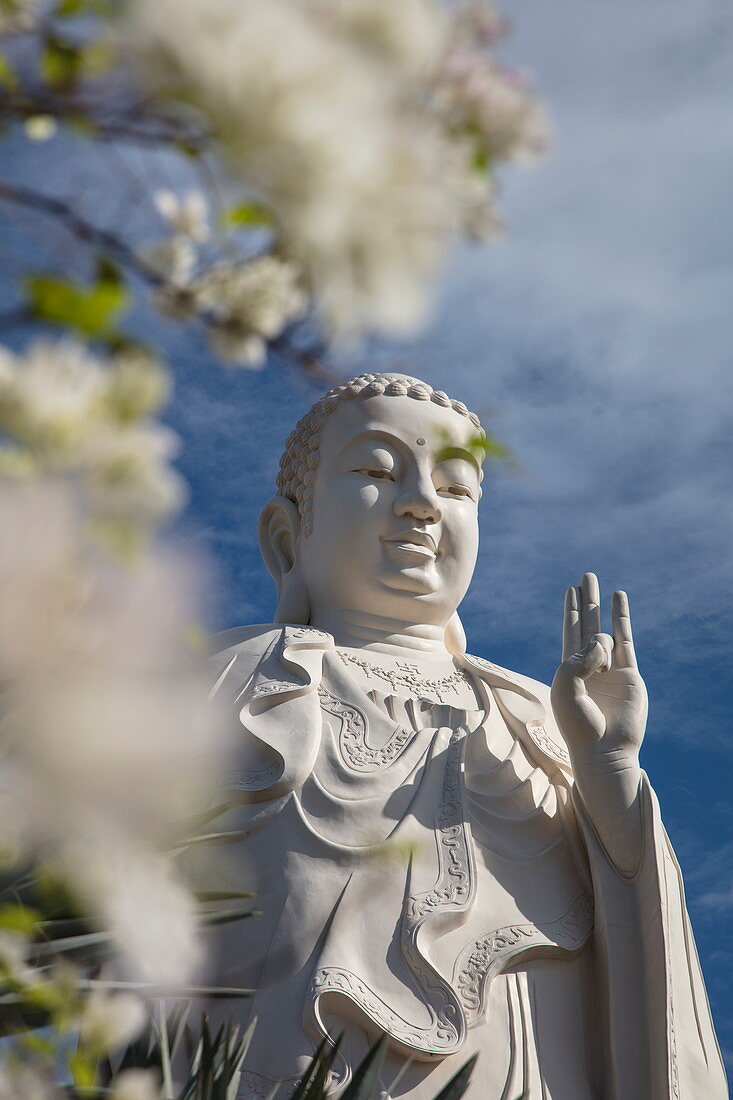 Riesige Buddha Statue an der Vinh Trang Pagode, My Tho, Tien Giang, Vietnam, Asien