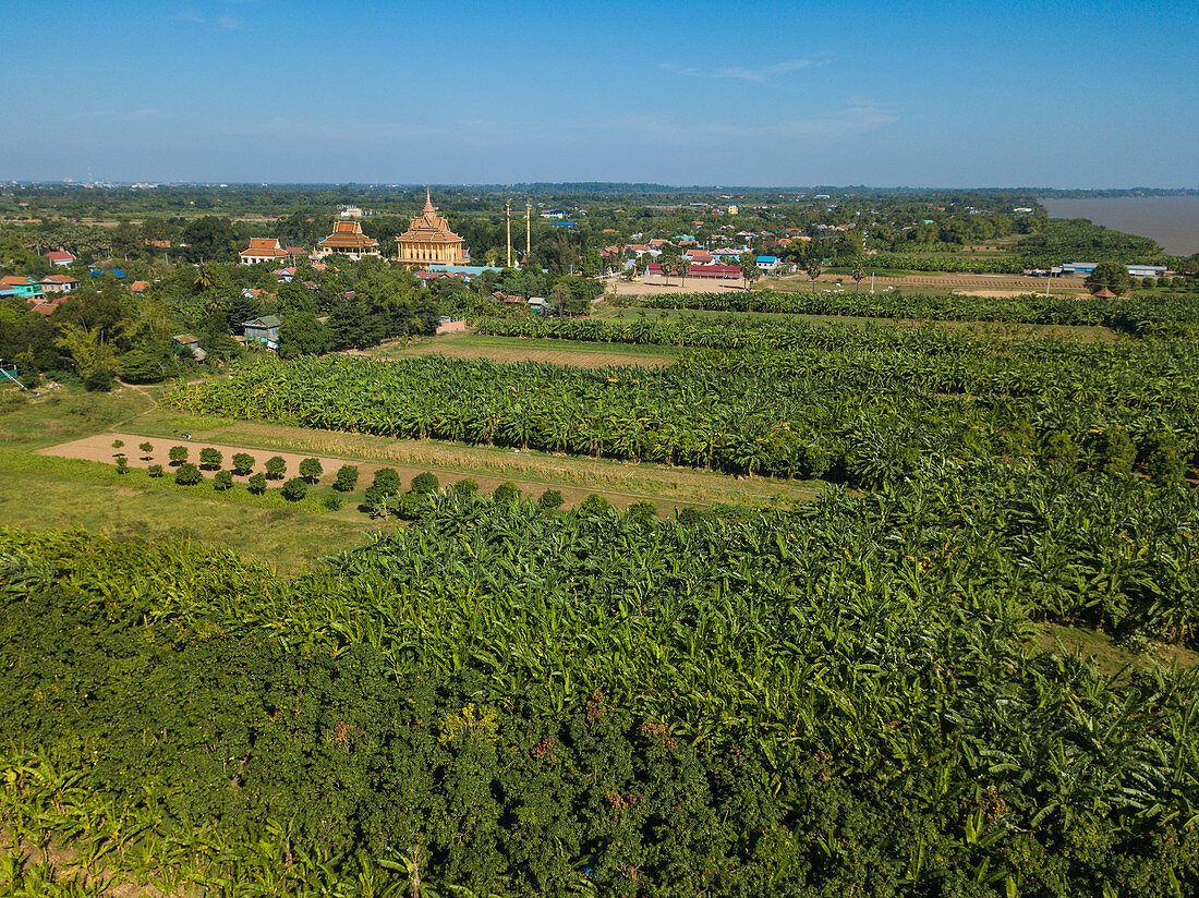 Luftaufnahme Bananenplantage und buddhistischer Tempel, Insel Oknha Tey, Fluss Mekong, nahe Phnom Penh, Kambodscha, Asien