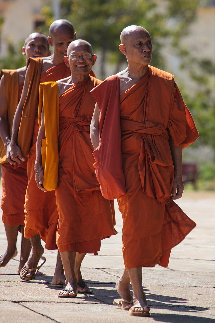 A group of Buddhist monks from the Vipassana Dhura Mandala Meditation Center on the way to Udong Pagoda, Oudong (Udong), Kampong Speu, Cambodia, Asia
