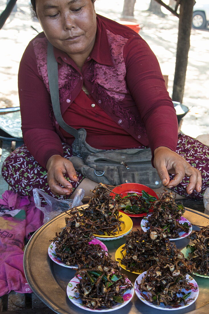 Kleine gebratene Frösche zum Verkauf auf dem Markt, Oudong (Udong), Kampong Speu, Kambodscha, Asien