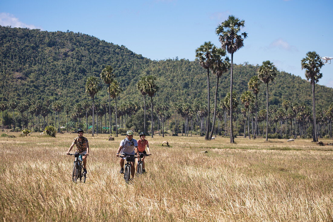 Fahrradausflug durch Reisfelder für Gäste von Flusskreuzfahrtschiff, nahe Andong Russei, Kampong Chhnang, Kambodscha, Asien