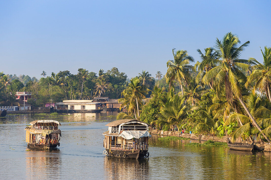 Houseboats on Backwaters, Alappuzha (Alleppey), Kerala, India, Asia