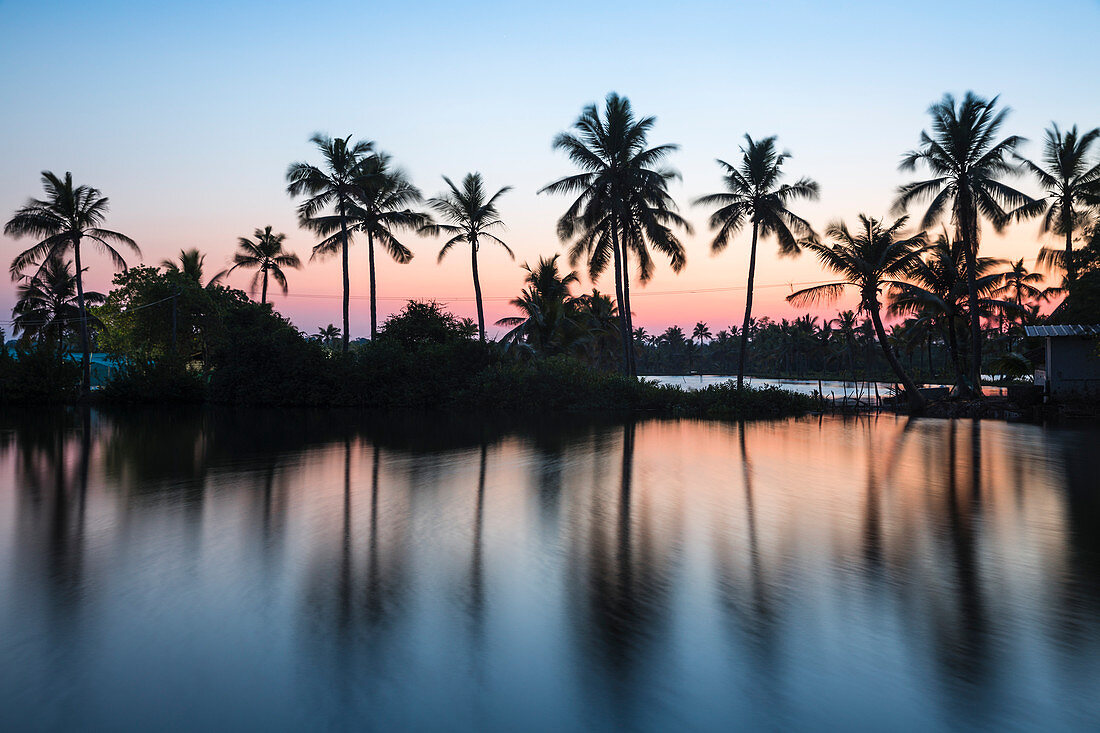 Palmen, die in Backwaters, Munroe Island, Kollam, Kerala, Indien, Asien reflektieren