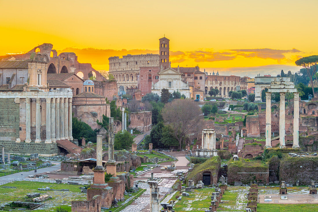 Forum at sunrise, UNESCO World Heritage Site, Rome, Lazio, Italy, Europe