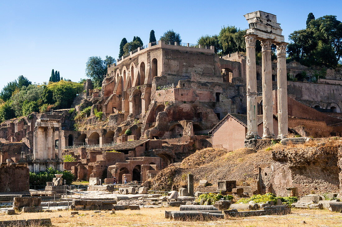 Tempel von Castor und Pollux, Palatin dahinter, Forum Romanum, UNESCO-Weltkulturerbe, Rom, Latium, Italien, Europa