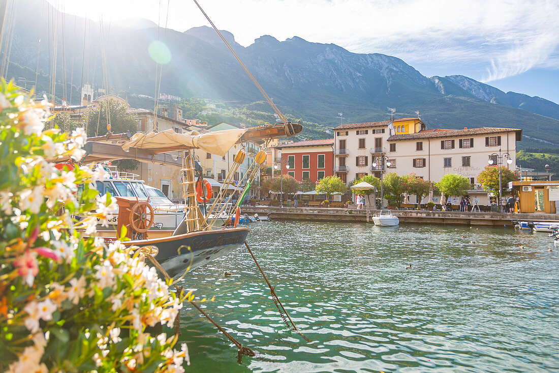 View of harbour and architecture on a sunny day, Malcesine, Province of Verona, Veneto, Italian Lakes, Italy, Europe