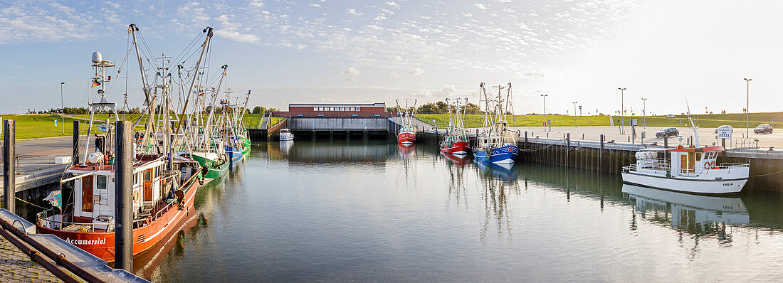 Fischerboote im Hafen, Fischkutter, Dornumersiel Tief, Panorama, Dornumersiel, Ostfriesland, Niedersachsen, Deutschland