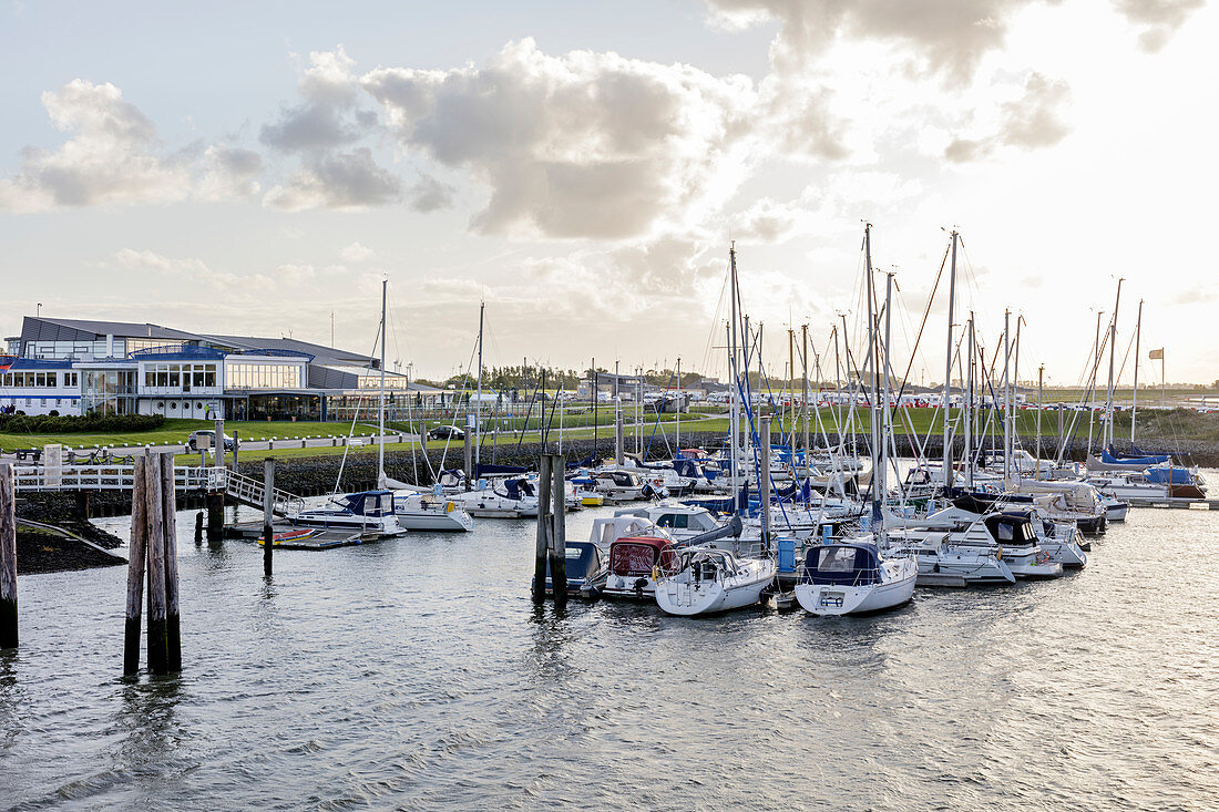 Sailboats in the harbor, Bensersiel, East Frisia, Lower Saxony, Germany