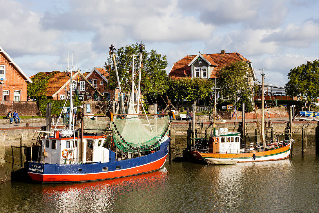 Harbor with shrimp cutters, boats,, Neuharlingersiel, East Friesland, Lower Saxony, Germany