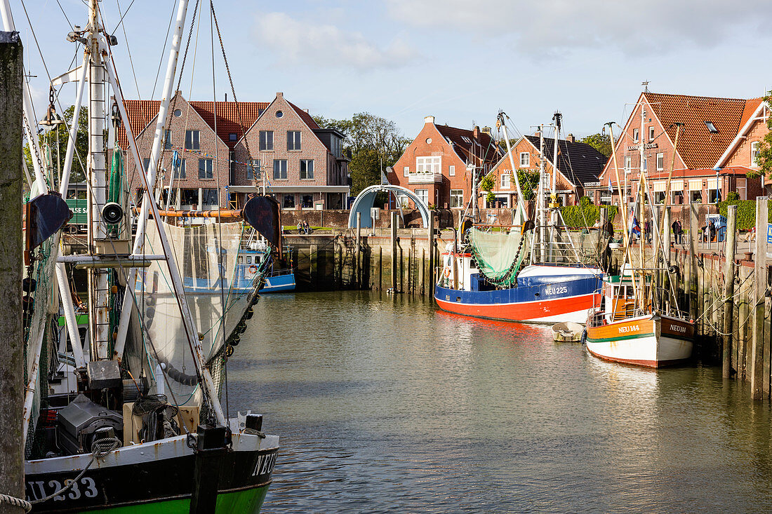 Boats in the harbor, cutter, Neuharlingersiel, East Frisia, Lower Saxony, Germany