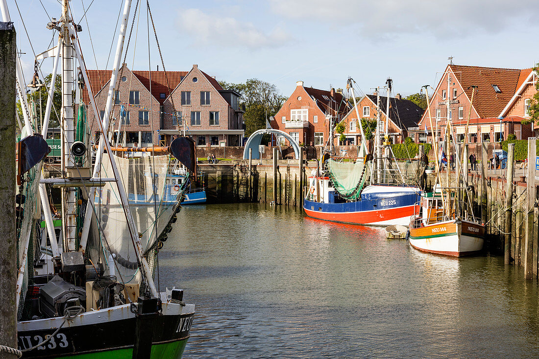 Boote im Hafen, Kutter, Neuharlingersiel, Ostfriesland, Niedersachsen, Deutschland