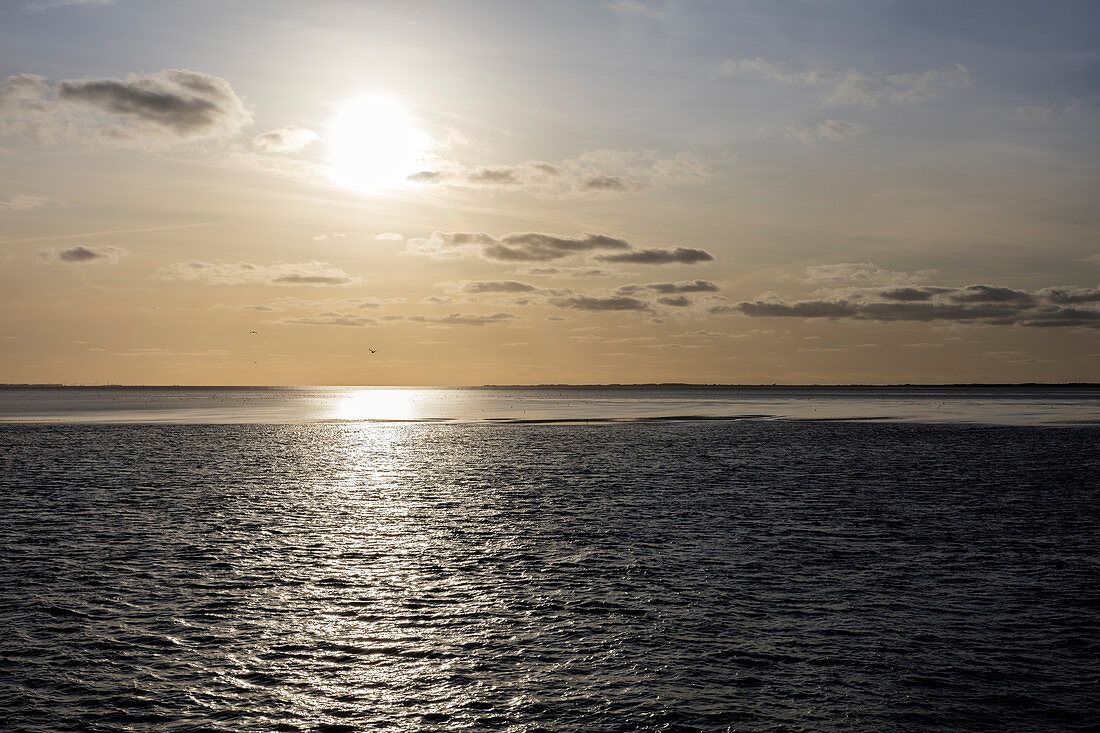 Sunset from the ferry, North Sea, East Frisia, Lower Saxony, Germany