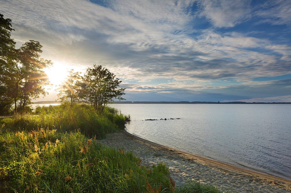 View over the Achterwasser, Lieper Winkel, Usedom, Baltic Sea, Mecklenburg-Western Pomerania, Germany