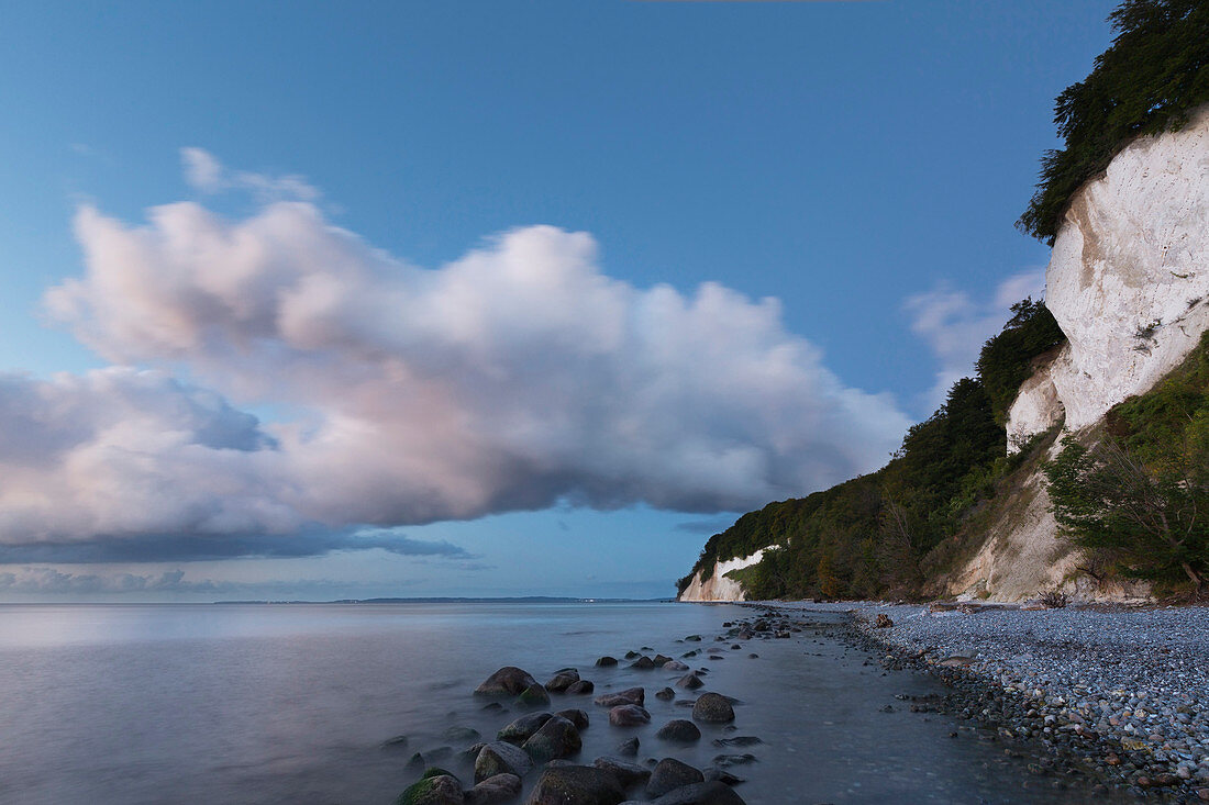 Chalk cliffs, chalk coast, Jasmund National Park, Rügen, Baltic Sea, Mecklenburg-Western Pomerania, Germany