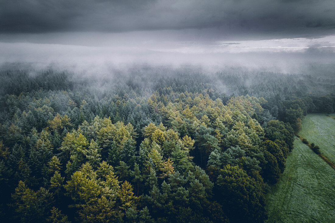 Forest and field under fog and clouds, aerial view, Wiesede, Friedeburg, Wittmund, East Frisia, Lower Saxony, Germany, Europe