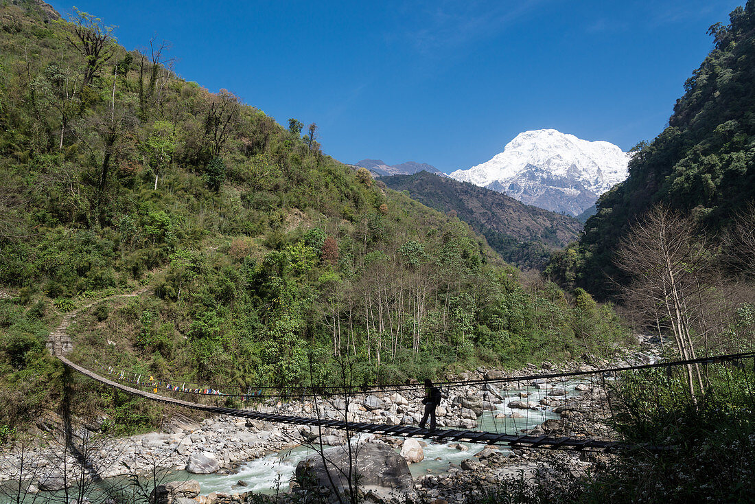 Hängebrücke mit Annapurna Süd auf dem ins Annapurna Base Camp bei Chomrong, Nepal, Himalaya, Asien.