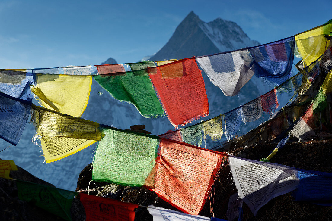 Buddhistische Gebetsfahnen oberhalb des Annapurna Base Camp, Nepal, Himalaya, Asien.