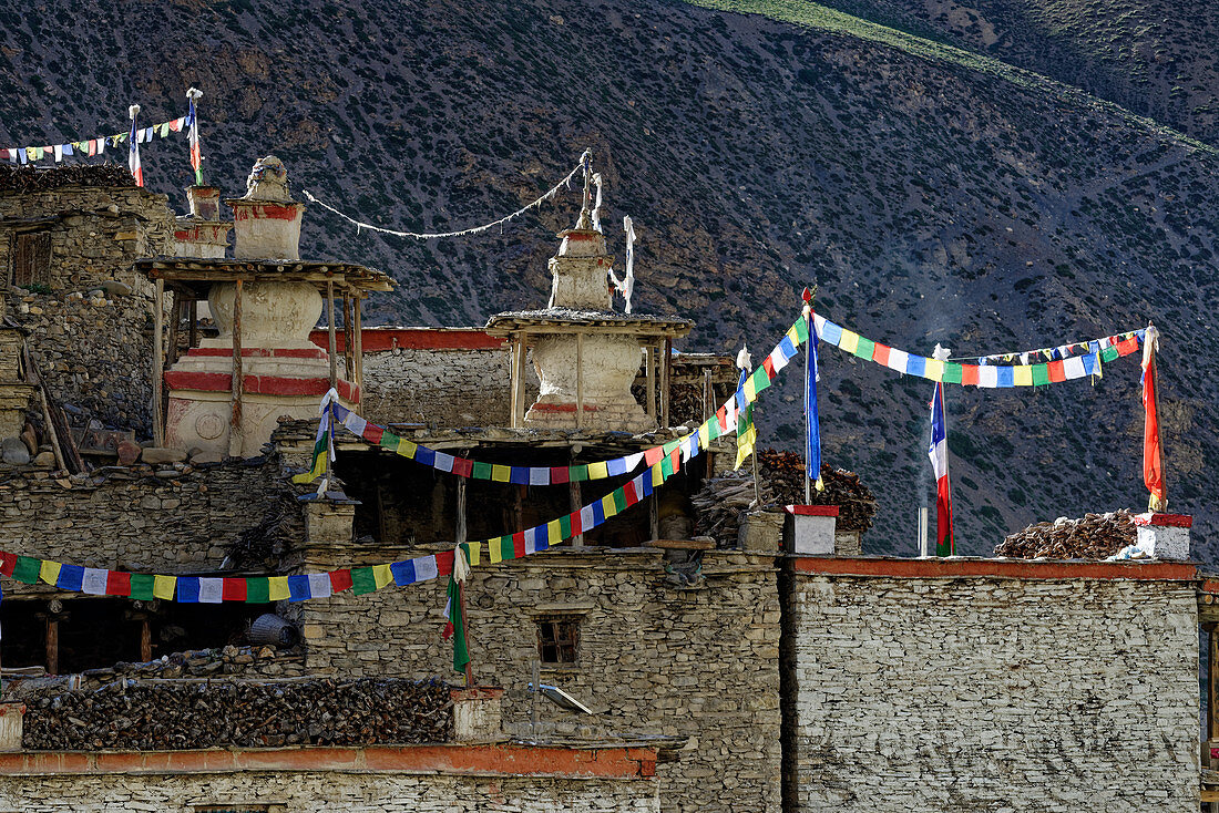 Prayer flags adorn the village of Phu, Nepal, Himalayas, Asia.