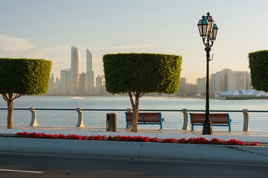 trimmed trees, skyscrapers, Abu Dhabi, United Arab Emirates