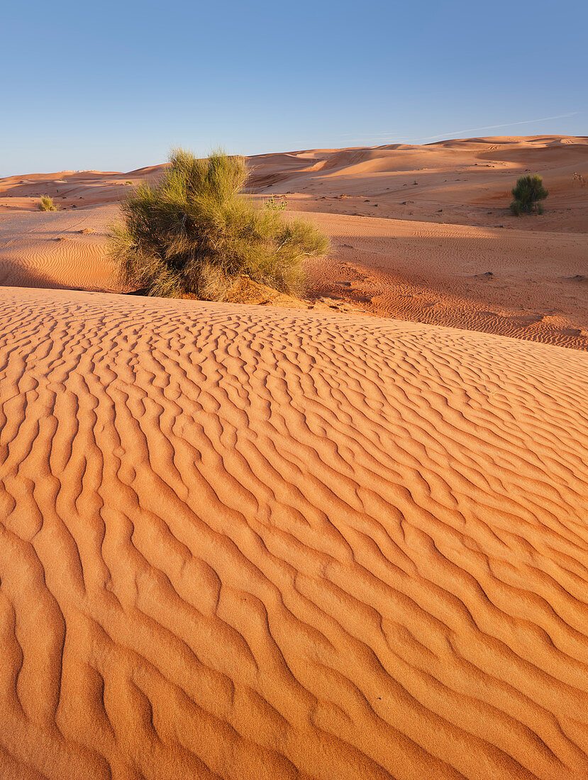 Dünen, Wüste, Dubai, Vereinigte Arabische Emirate