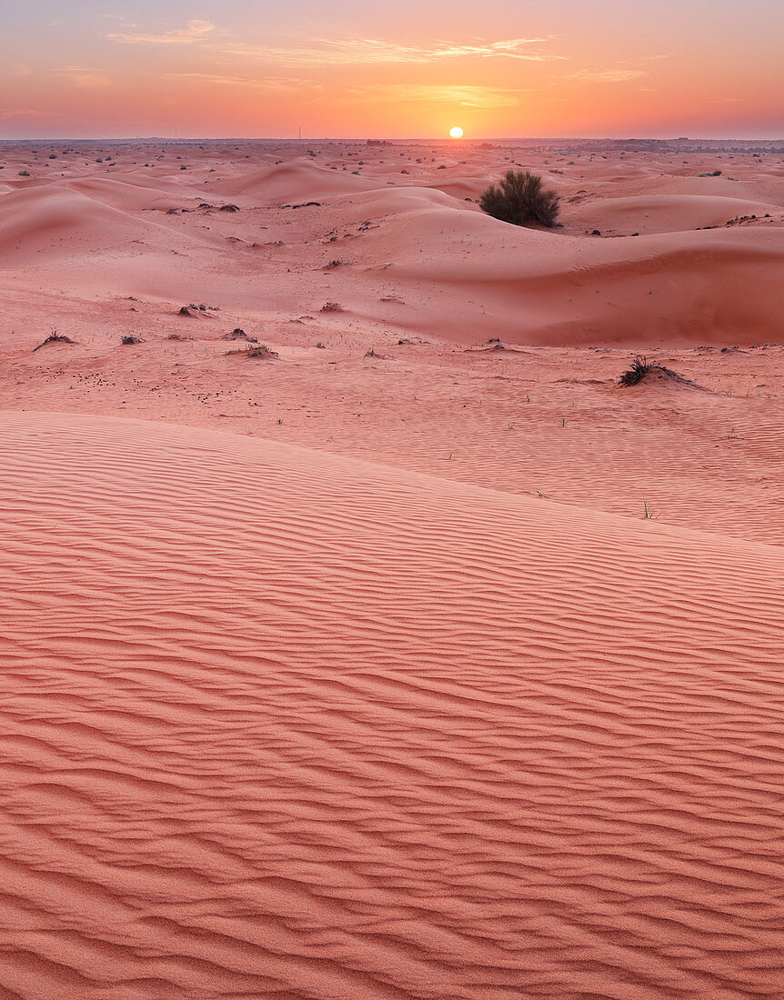 Dunes, desert, Dubai, United Arab Emirates