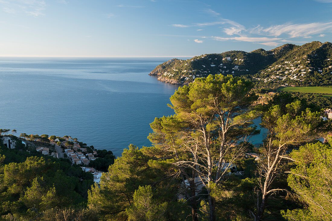 Blick vom Cap Vermell zum Cap d'es Pinar, Canyamel, Mallorca, Balearen, Katalonien, Spanien