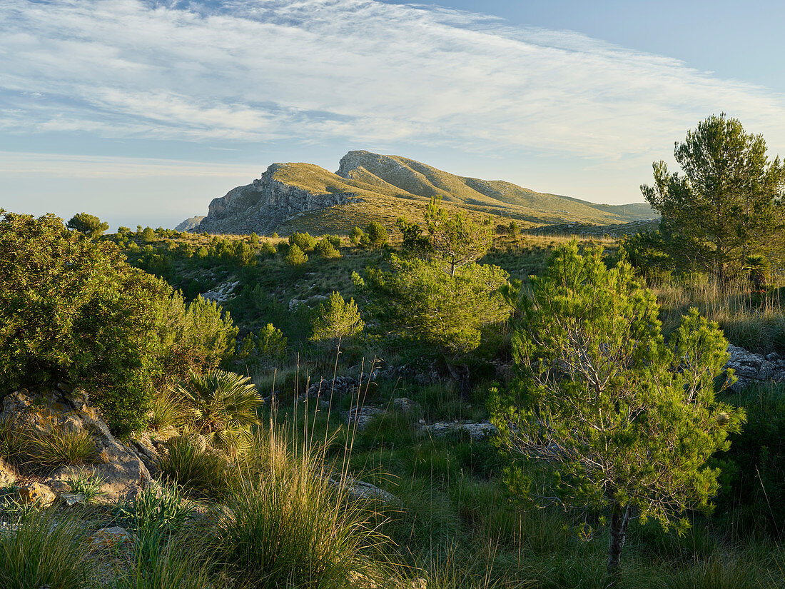 Puig de sa Creu, Talaia Freda, Parc natural de la península de Llevant, Mallorca, Balearen, Katalonien, Spanien