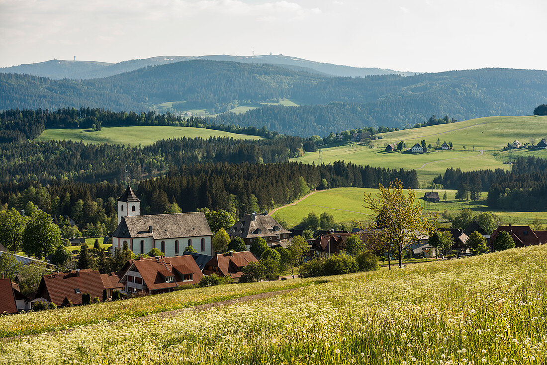 Breitnau und Feldberg im Hintergrund, Schwarzwald, Baden-Württemberg, Deutschland