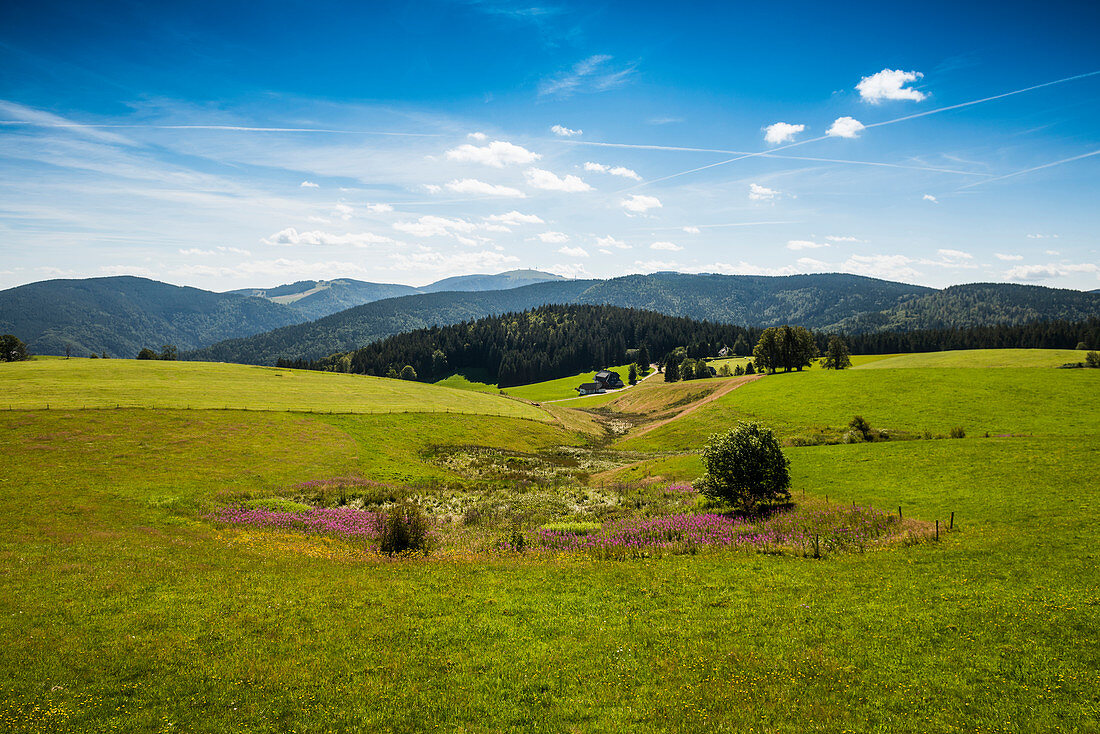 View from Schauinsland to Feldberg, Black Forest, Baden-Wuerttemberg, Germany