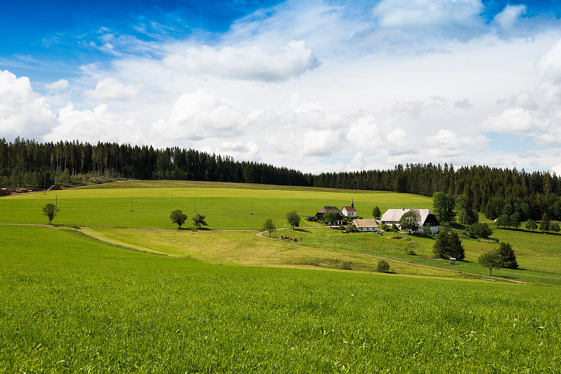Farm, near Titisee-Neustadt, Black Forest, Baden-Württemberg, Germany