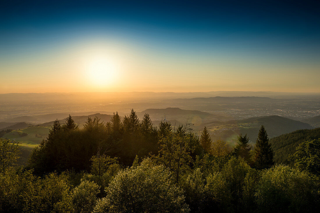 View from Schauinsland into the Rhine Valley, sunset, Black Forest, Baden-Wuerttemberg, Germany