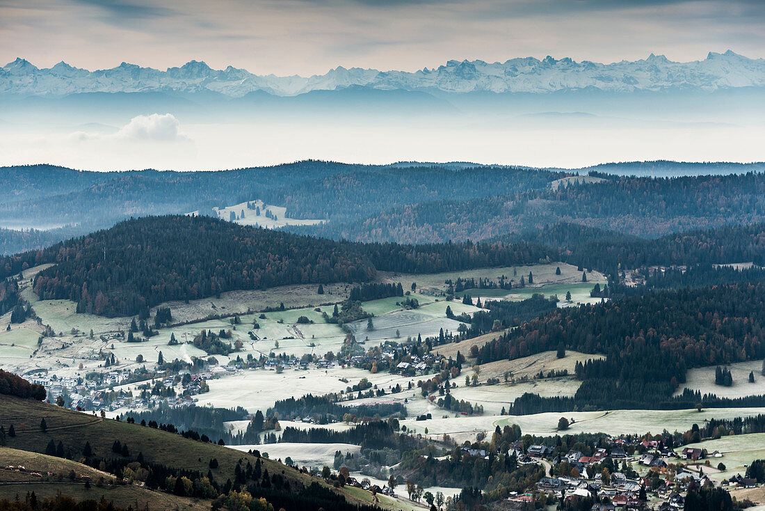 Blick vom Herzogenhorn zu den Alpen, Feldberg, Schwarzwald, Baden-Württemberg, Deutschland