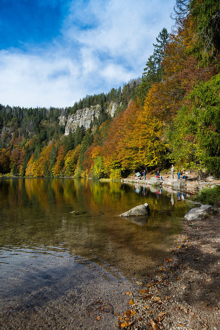 Herbstwald mit Spiegelung, Feldsee, Feldberg, Schwarzwald, Baden-Württemberg, Deutschland