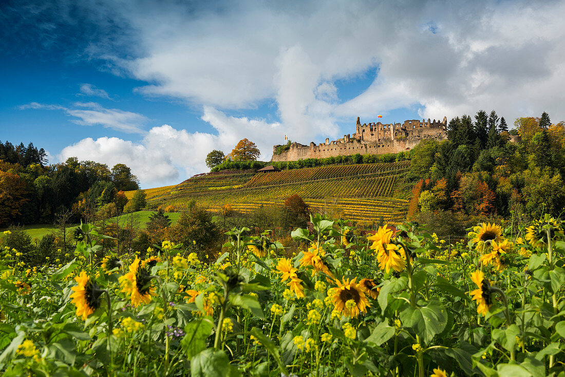 the stronghold, autumn, near Emmendingen, Black Forest, Baden-Württemberg, Germany