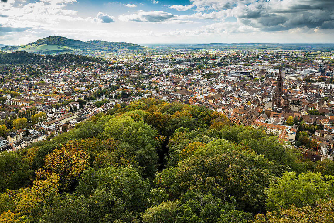 City view with Minster, Freiburg im Breisgau, Black Forest, Baden-Wuerttemberg, Germany